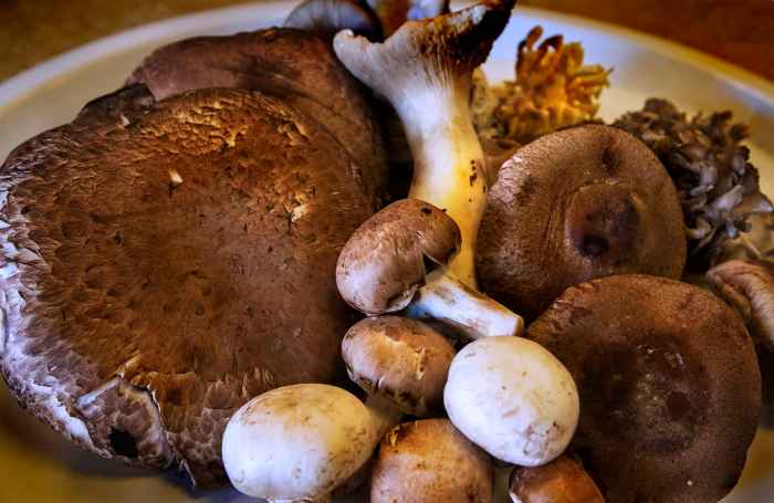 How to cook mushrooms japanese style