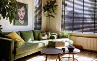 How to decorate small living room with plants