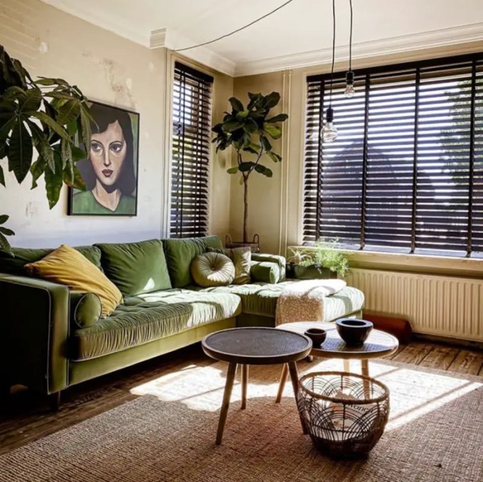 How to decorate small living room with plants