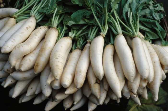 How to cook daikon japanese style