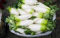 How to cook daikon japanese style