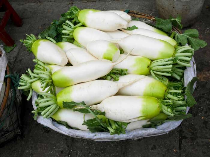 How to cook daikon japanese style