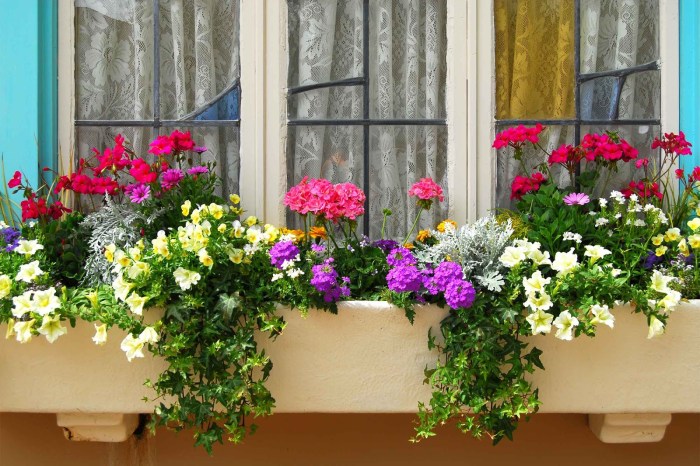 How to decorate with a window box