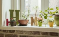 Window planters planting planter cascading railing over