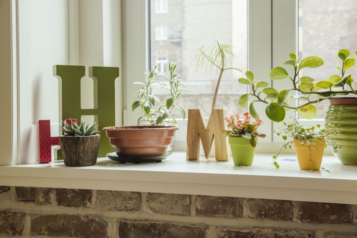 Window planters planting planter cascading railing over